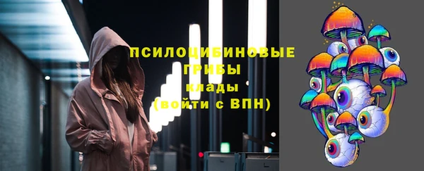 соль ск Балахна