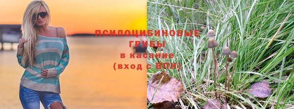 apvp Баксан