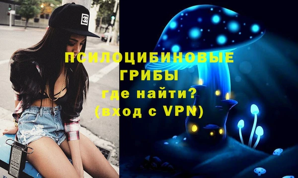 а пвп мука Балабаново