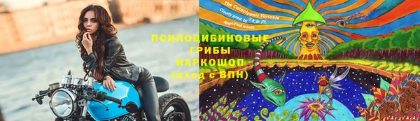 apvp Баксан